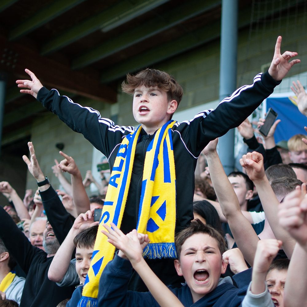 St Albans City fans